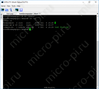 Samba - Установка и Настройка на Raspberry Pi, Orange Pi, Banana Pi - Добавленный файл в share