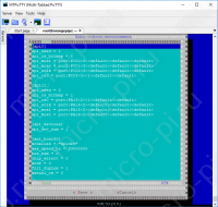 Настройка SPI с armbian-config - Редактирование .fex файла