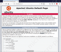 Проверка apache2