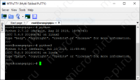 SMBus Работа с I2C на Python в Raspberry Pi - Открытие Python REPL